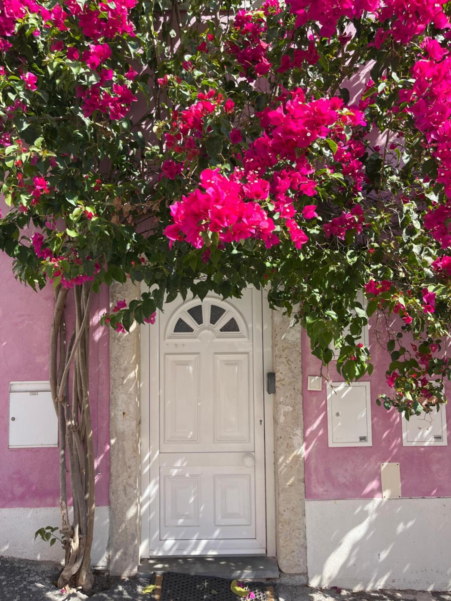 Ferienwohnung Casa Cor De Rosa Lissabon Exterior foto