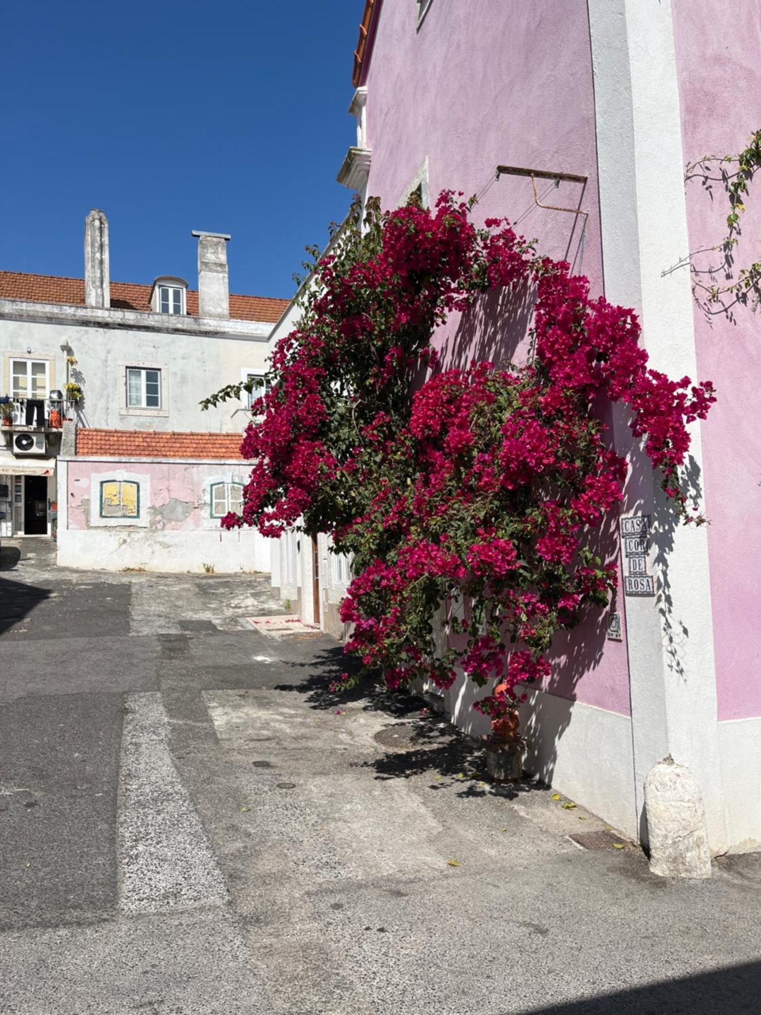 Ferienwohnung Casa Cor De Rosa Lissabon Exterior foto