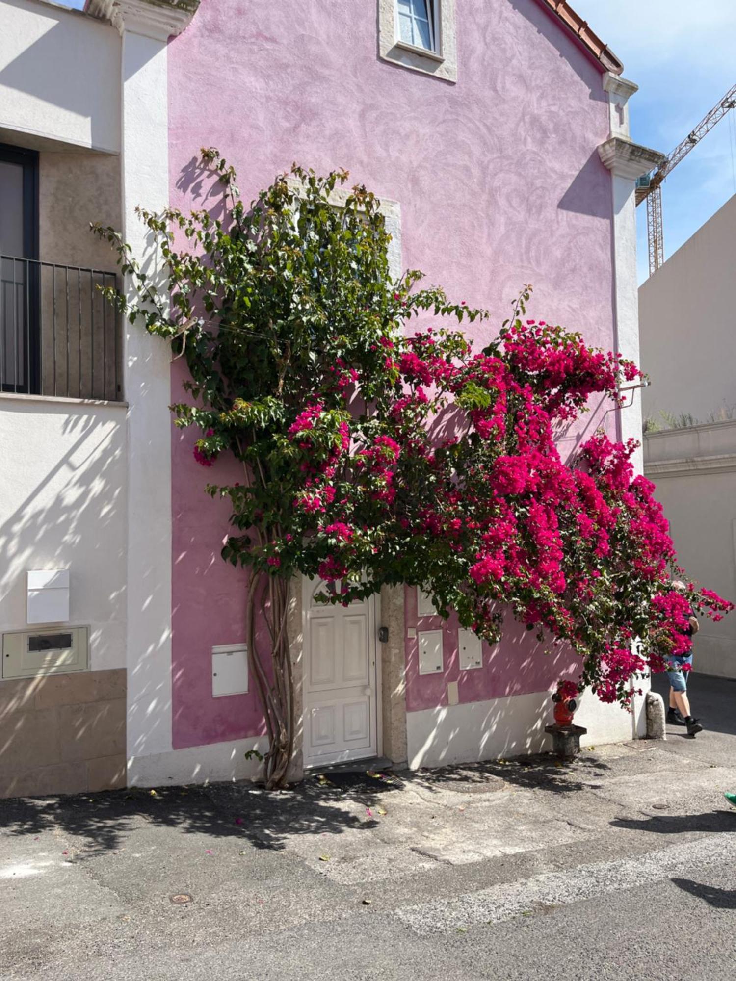 Ferienwohnung Casa Cor De Rosa Lissabon Exterior foto